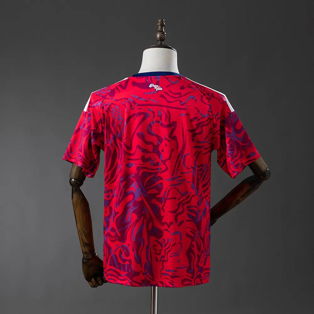 Camisa da Costa Rica 2026 Modelo Torcedor