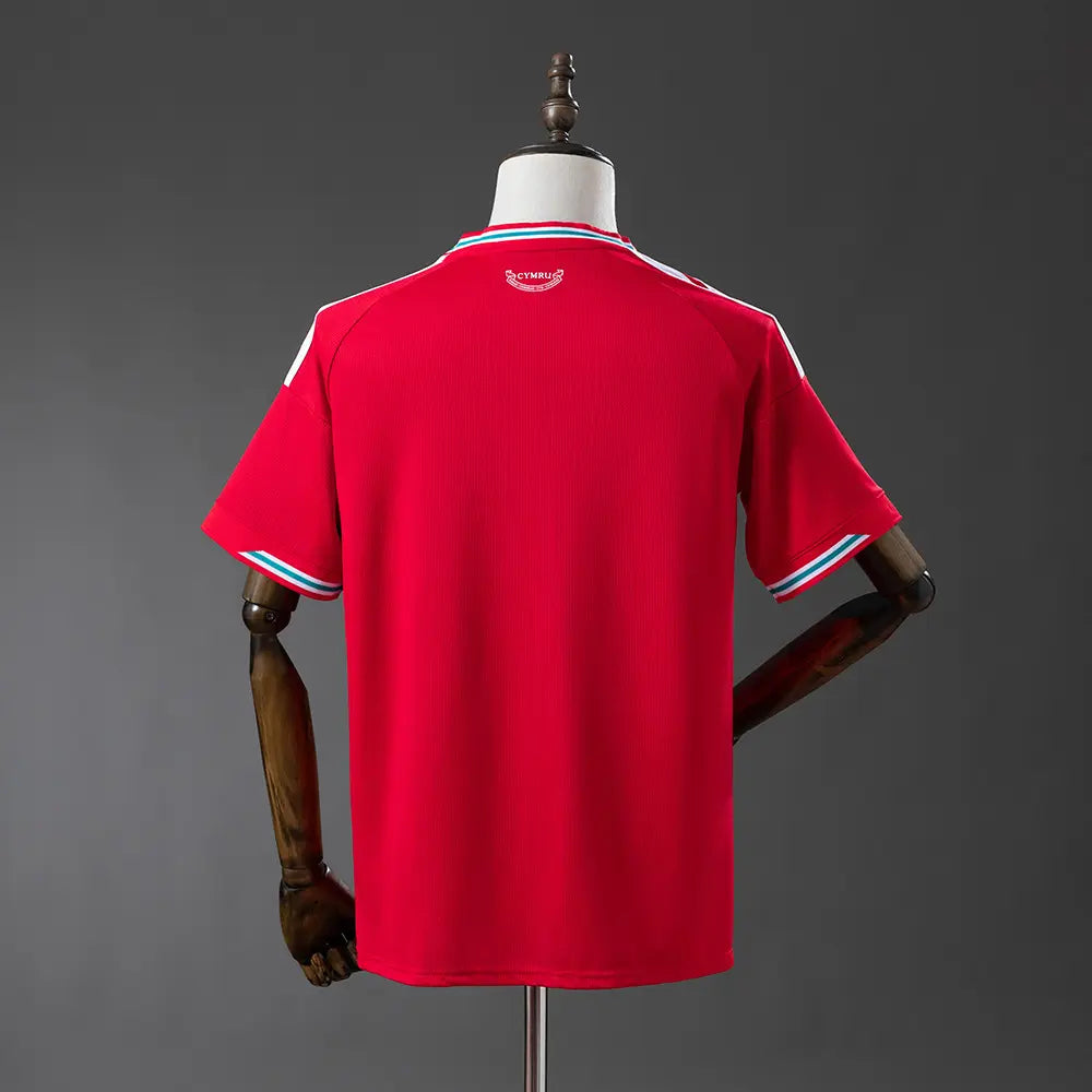 Camisa do Wales 2026 Modelo Torcedor